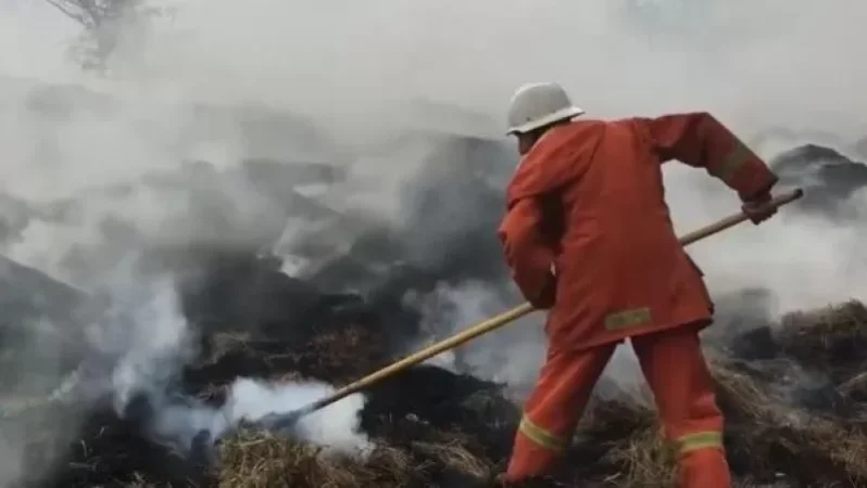 Հրդեհ Կենդանաբանական այգու մոտ. դեպքի վայր է մեկնել է 4 մարտական հաշվարկ