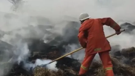 Հրդեհ Կենդանաբանական այգու մոտ. դեպքի վայր է մեկնել է 4 մարտական հաշվարկ