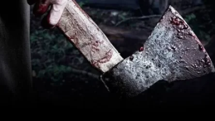 ՏԵՍԱՆՅՈՒԹ. 87-ամյա մորը կացնով սպանել, դին` մասնատել ու այրել էր