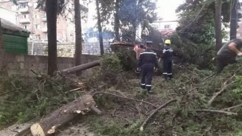 Երևանյան փողոցում գտնվող սրճարաններից մեկի մոտ քամուց կոտրվել է եղևնին, վնասել 2 հովանոց