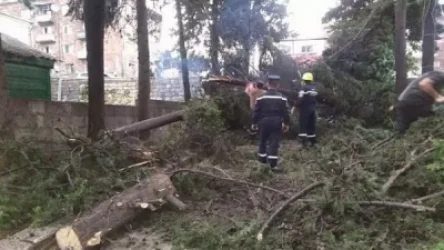 Երևանյան փողոցում գտնվող սրճարաններից մեկի մոտ քամուց կոտրվել է եղևնին, վնասել 2 հովանոց