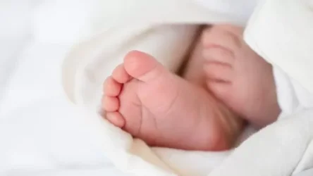 Արարատի մարզի բնակչուհին 2000 ԱՄՆ դոլարով վաճառել է նորածին դստերը.  5 անձի մեղադրանք է առաջադրվել. ՔԿ