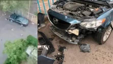 ՏԵՍԱՆՅՈՒԹ.  Երևանում շների ոհմակը ջարդուխուրդ է արել բակում կայանած մեքենան