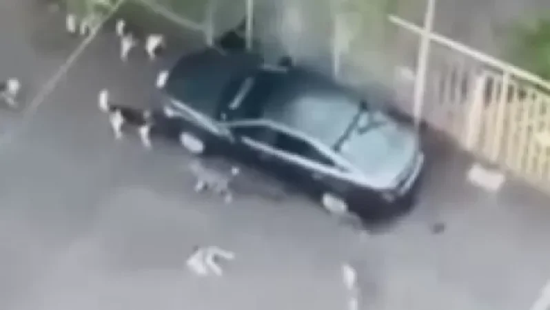 «Թափառող կենդանիների վնասազերծման կենտրոն» ՀՈԱԿ-ից արձագաքել են համացանցում տարածված տեսանյութին