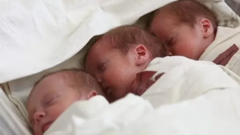 Տավուշում եռյակ է ծնվել