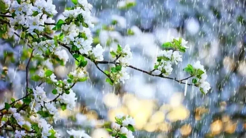 Սպասվում է ձյուն․ եղանակն՝ առաջիկա օրերին