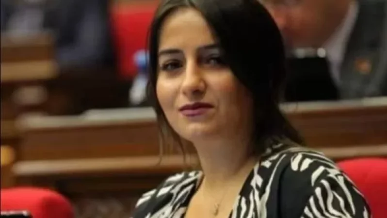 Վաղն ԱԺ-ում հանդիպում ենք «Պահանջատեր դիմորդ» նախաձեռնության անդամների հետ. պատգամավոր