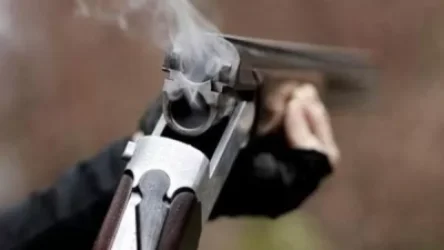 ՏԵՍԱՆՅՈՒԹ. Արևշատ գյուղում հարևանների վեճն ավարտվել է կրակոցներով. կա բերման ենթարկված