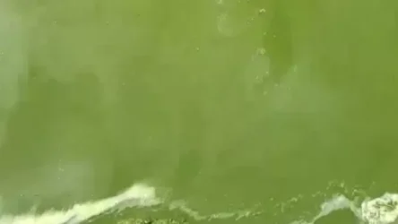 Հասկանո՞ւմ եք, թե Սևանը հիմա ինչ վիճակում է և ում ձեռքերում. Վահագն Վարագյան