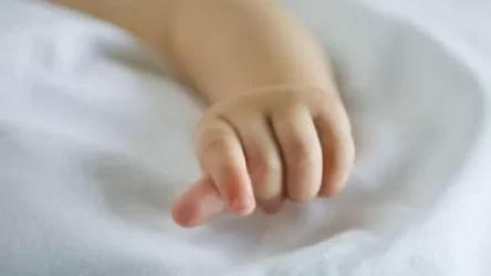 Երևանում 31-ամյա կինը ծննդաբերել, ապա երեխային փաթեթավորել է պոլիէթիլենային տոպրակի մեջ և գցել աղբարկղը, նա ձերբակալվել է