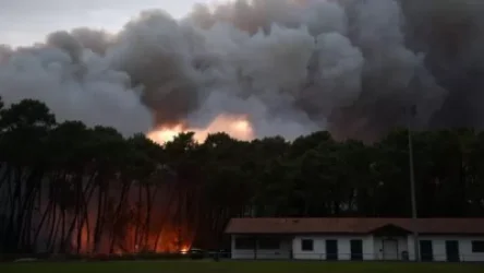 ՏԵՍԱՆՅՈՒԹ. Ֆրանսիայում մեկ գիշերվա ընթացքում 165 հեկտար անտառ է այրվել