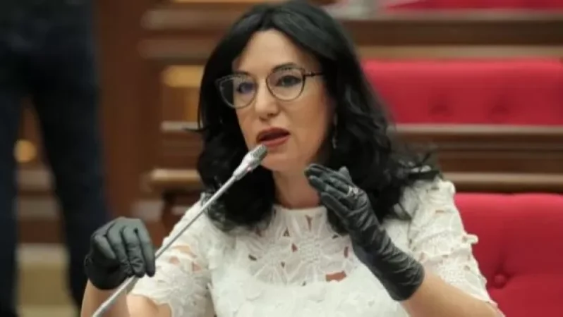 Ջերմուկը Չեռնոբիլ չի դառնալու, Ամուլսարը սար է մնալու. Նաիրա Զոհրաբյան