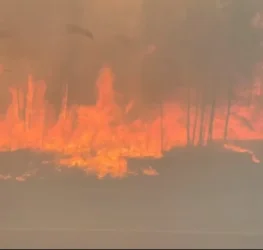 ՏԵՍԱՆՅՈՒԹ․ Խոշոր հրդեհներ՝ ՌԴ-ում․ այրվում է մոտ 80 ամառանոց