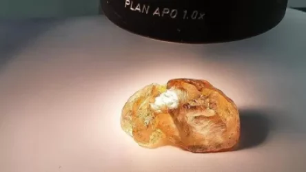 Ռուսաստանում արդյունահանել են ամենախոշոր դեղնաշագանակագույն ալմաստը. այն 236 կարատ է