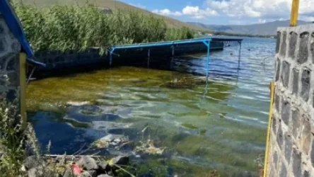 Սևանը բոլորիս սիրո, հոգածության, խնամքի և սրտացավ վերաբերմունքի կարիքը ունի. նախարար Ռոմանոս Պետրոսյան