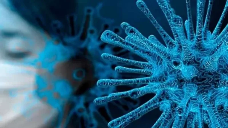 Արցախում  COVID-19-ի նոր դեպքեր չեն գրանցվել