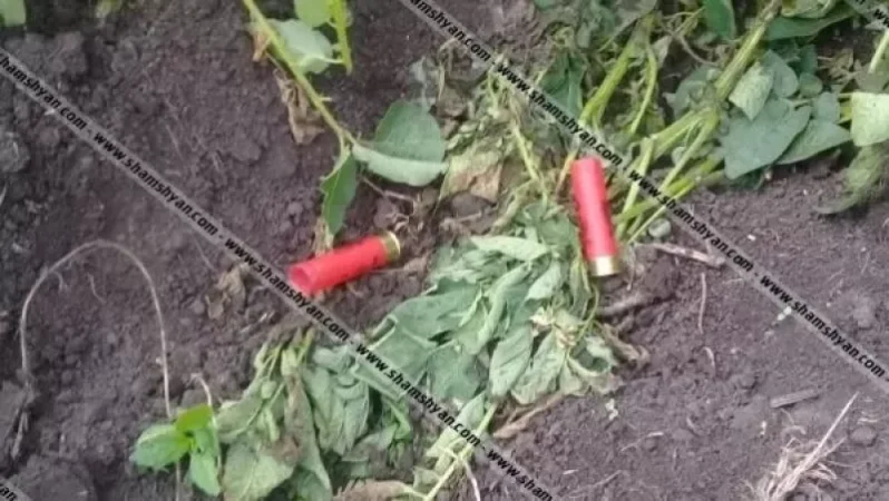 Ճամբարակ քաղաքի «Կալեր» կոչվող հանդամասում կրակոցներ են հնչել. հարևանները վիճել են կարտոֆիլի հանդամաս մտած հորթի պատճառով. Shamshyan