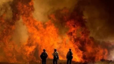 ՏԵՍԱՆՅՈՒԹ. Խոշոր հրդեհներ Կալիֆոռնիայում