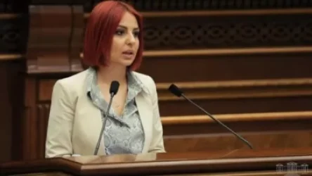 Գրավոր առաջարկել եմ վերանայել պարետատան համապատասխան որոշումը. Անի Սամսոնյան