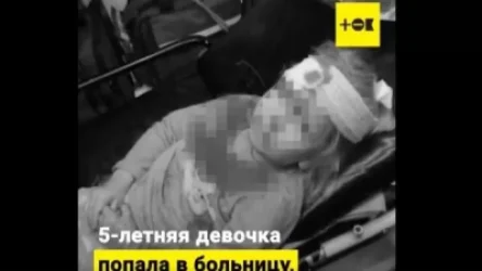 ՏԵՍԱՆՅՈՒԹ. Բելառուսում քիչ էր մնում 5-ամյա աղջիկը դառնար հատուկջոկատայինների հարձակման զոհը