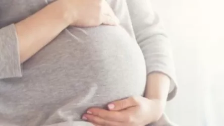 «Արարատի մարզում 42-ամյա կնոջ տնային մայրական մահ է արձանագրվել». ԱՆ խոսնակ