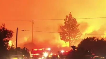 Կալիֆոռնիա նահանգի Ազգային պարկի տարածքում անտառային հրդեհի մակերեսը 2 օրում եռապատկվել է