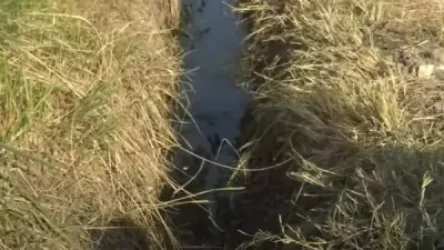 Ադրբեջան անունով արհեստածին պետությունում ջրի խնդրի աշխարհագրությունն ընդլայնվում է. թուրքագետ