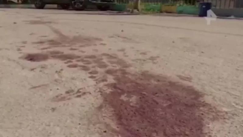 Մոսկվայում հայ երիտասարդ է սպանվել՝ ծնունդով Ախալքալաքի Կորխ գյուղից, ևս մեկը վիրավոր է