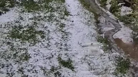 ՏԵՍԱՆՅՈՒԹ. «Կարբի գյուղի աղետալի կարկտահարության հետևանքները». Սուրենյան