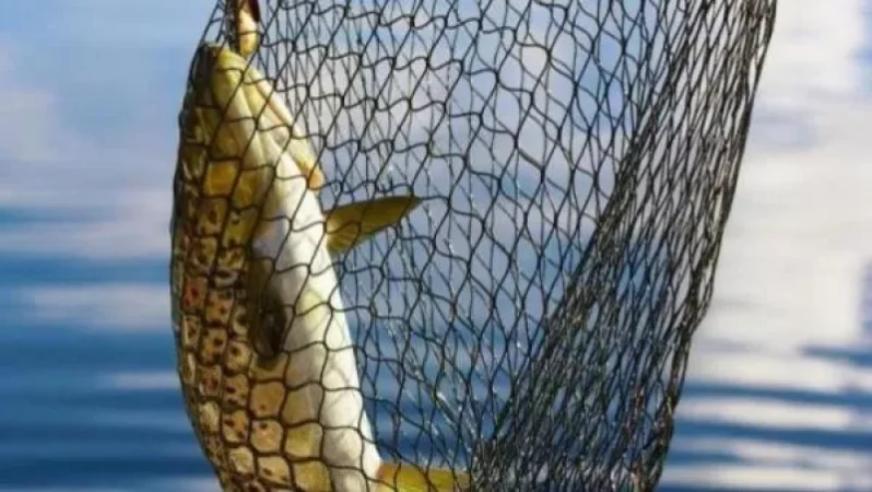 Ինչքա՞ն տուգանք է սահմանված որսի և ձկնորսության կանոնները խախտողներին