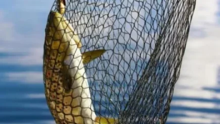 Ինչքա՞ն տուգանք է սահմանված որսի և ձկնորսության կանոնները խախտողներին