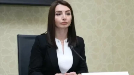 Ադրբեջանի ԱԳՆ ներկայացուցիչը մեղադրել է հայկական կողմին «վերջին մեկուկես ամսում սադրանքների դիմելու» համար