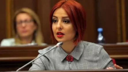 Ոստիկանությունից տեղեկացնում են, որ խախտումներն արձանագրվել են.  Անի Սամսոնյան