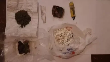 «Սևան» և «Վանաձոր» ՔԿՀ-ներում կանխվել են թմրամիջոցների փոխանցման փորձերը