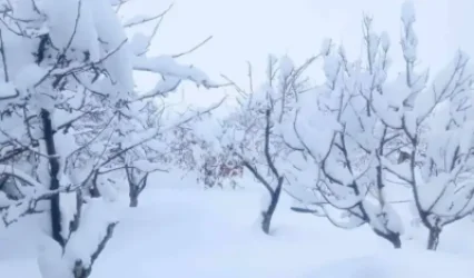 Սպասվում է ձյուն․ եղանակի տեսություն