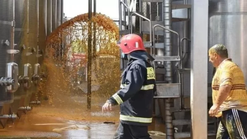 «Պռոշյան կոնյակի գործարան»-ում տեսչականը ստուգումներ է իրականացրել ու տուգանել. Արազ Պապիկյան. ArmDaily