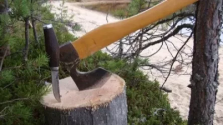 Տղամարդը զայրույթից կտրել է զարմուհու մատները՝ հեռախոսը գցելու համար