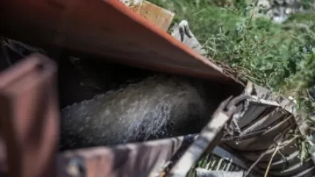 Դավթաշենի մի շարք շինությունների կոյուղաջրերը թափվում են Հրազդան գետը.  Հետք