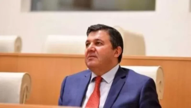 Հենզել Մկոյանն առաջադրվել է որպես անկախ թեկնածու