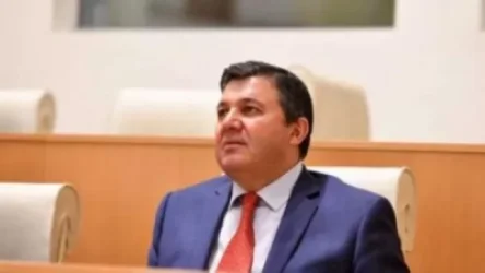 Հենզել Մկոյանն առաջադրվել է որպես անկախ թեկնածու