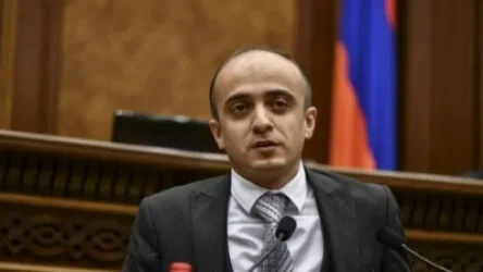 «Հորդոր, խնդրանք Արտաքին գործերի նախարարության պրոֆեսիոնալ թիմին». Տարոն Սիմոնյան