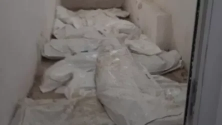 Ինչո՞ւ եղածին չի տրվում իրավական գնահատական. ԱԱԾ պահեստազորի սպաների միությունը դիակների պահման պայմանների մասին