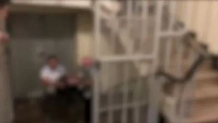 ՏԵՍԱՆՅՈՒԹ. Երևանում հայտնաբերվել են սպանության մեղադրանքով հետախուզվող օտարերկրյա քաղաքացիներ