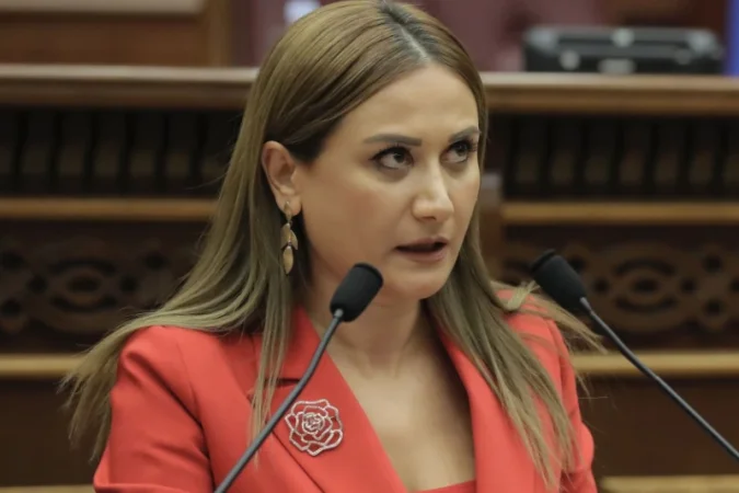 «Կոպտագույն միջամտություն է Հայաստանի ներքին գործերին». ՔՊ-ական պատգամավորը՝ Լեմկինի ինստիտուտի մասին