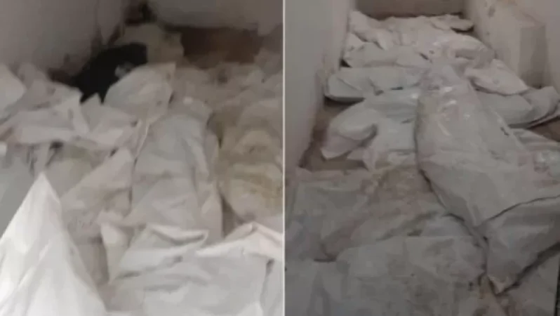 Դիերի և մասունքների ոչ պատշաճ պահումն իմ բացթողումն է եղել․ Անահիտ Ավանեսյան