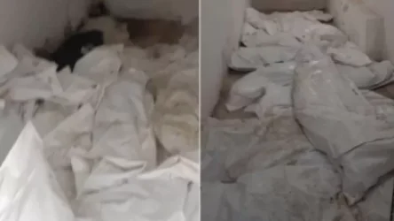 Դիերի և մասունքների ոչ պատշաճ պահումն իմ բացթողումն է եղել․ Անահիտ Ավանեսյան