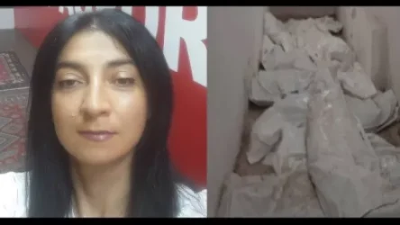 Դուք տգետ եք, որովհետև այդ պարկերի մեջ ձեր երեխան չի, ձեր հարազատը չի, դա ձեր ցավը չի․ լրագրող Լիլիթ Աղաջանյան