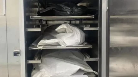 Առողջապահության նախարարությունը՝ «200 թաքցրած» դիակի մասին