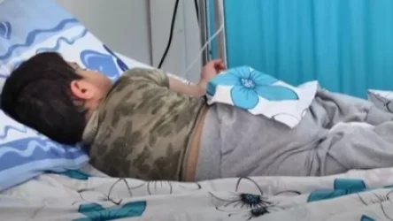 Ինֆեկցիոն հիվանդությունների ազգային կենտրոնում հոսպիտալացված 11 սաներից մեկը դուրս է գրվել հիվանդանոցից