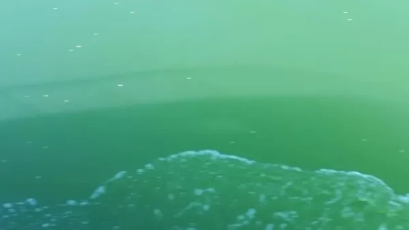 Concerning Results from Lake Sevan: Coastal Areas Show Green Color in the Form of Foam